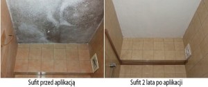 Farba przeciwgrzybicza GALVI