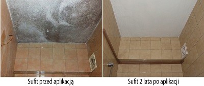 farba na pleśń GALVI 